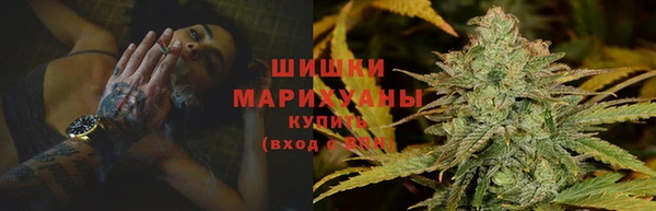 дмт Мегион