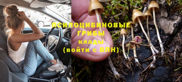 дмт Мегион