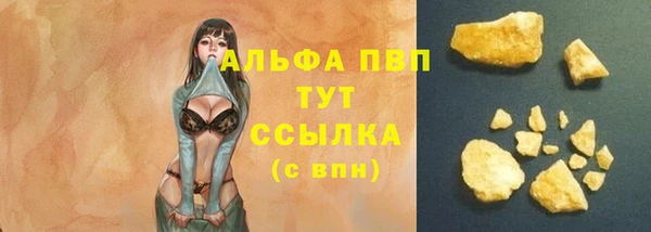 дмт Мегион