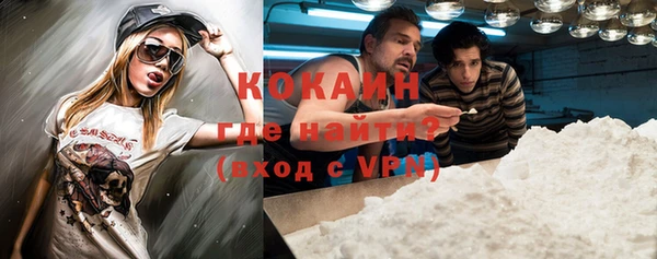 индика Майский