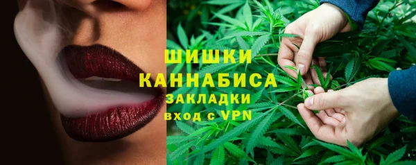 спиды Магас