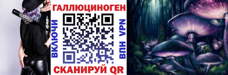 Купить  Королёв  Псилоцибиновые грибы Psilocybine cubensis 